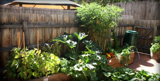 Vegetable Garden Designs by Kitchen Farmer