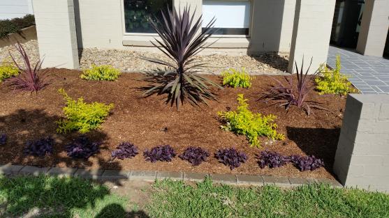 Vegetable Garden Designs by Steady Eddie's Landscaping Pty Ltd