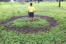 Recurrent mystery 'crop circle' formations in outback town (ABC Radio Darwin)