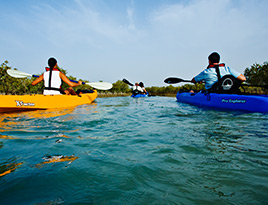 Mangrove and Sea Kayaking