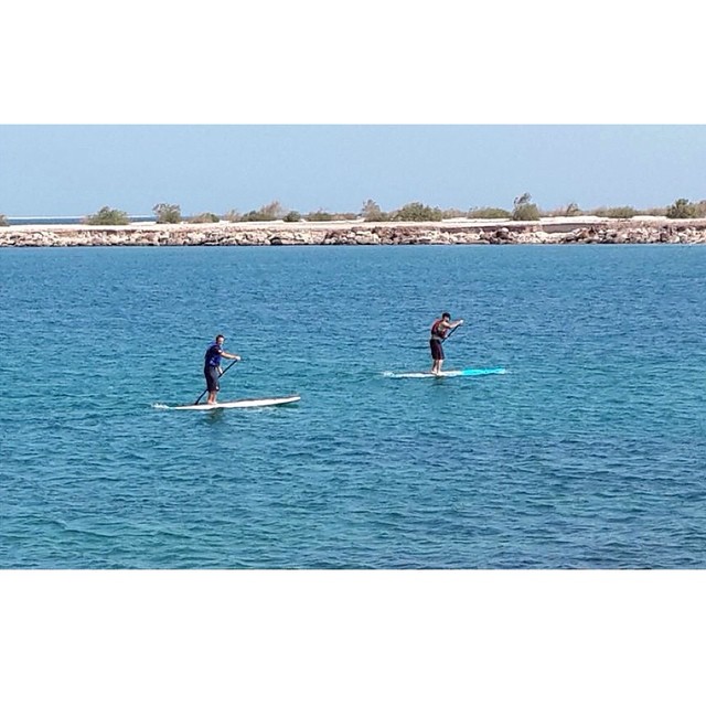 Explore the waters surrounding Sir Bani Yas Island by Stand Up Paddle and encounter the island's unique marine life offered by Desert Islands Watersports Center. 
For more info: +9712-8015429
. 
استكشف المياه المحيطة بجزيرة صير بني ياس من خلال الوقوف في المجداف، والذي يقدمه مركز جزر الصحراء للرياضات البحرية.
لمعرفة المزيد اتصل على: 8015429-2-971+