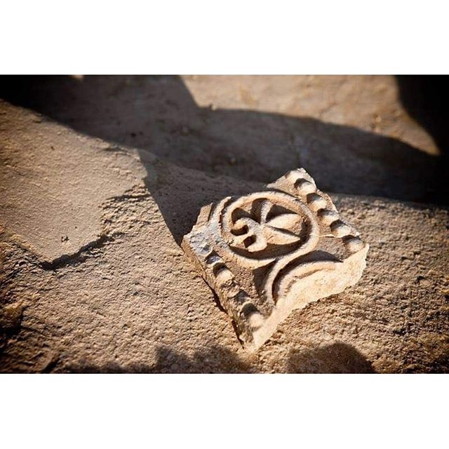 Did you know – there are 42 archaeological sites on Sir Bani Yas, including a Christian monastery that dates back to 600 AD- Learn more with our Culture & History Tour: 02 801 5266