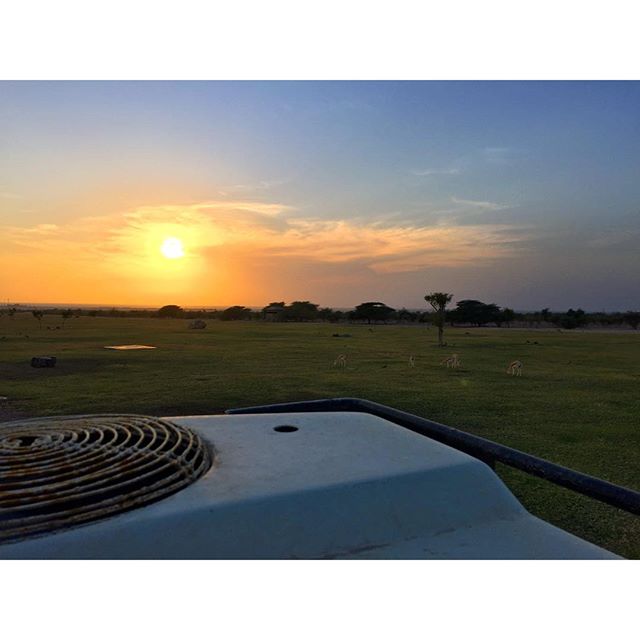 Sunset over the -Savannah from the back of a -Toyota -landcruiser -uae -sirbaniyas -safari -abudhabi