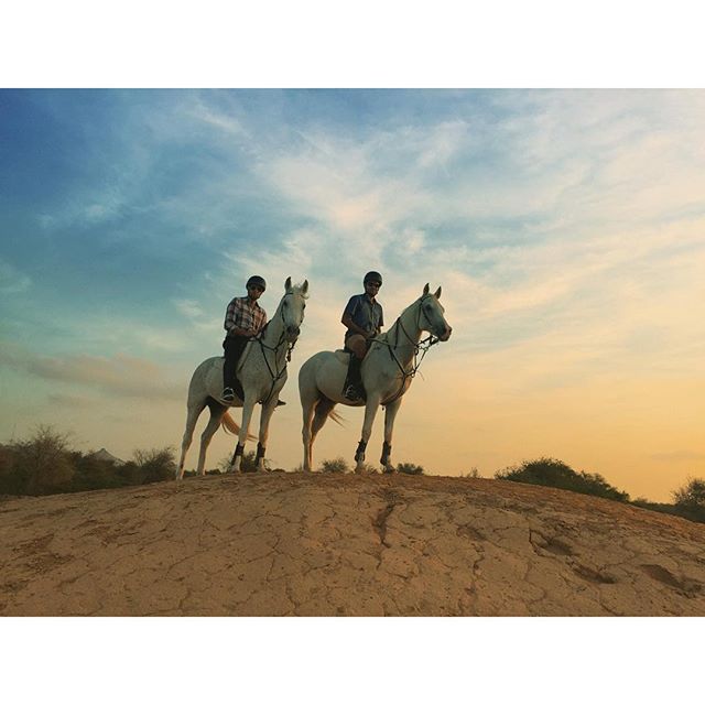 Sunrise -dune trek on a pair of -Arabian horses -safari -sirbaniyas -uae