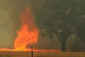 Sir Ivan Bushfire. A bushfire that started near Leadvill, east of Duneedoo in the NSW Central tablelands ripped through ...