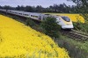 Travel Europe by train with a Eurail pass.