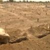 <em>I wrote this after I read the news about people in Pakistan digging mass graves in advance of the forecast heatwave, so as to not be caught unprepared, as they were last year.</em>