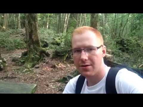 Inside Japan's Suicidal Sea of Trees