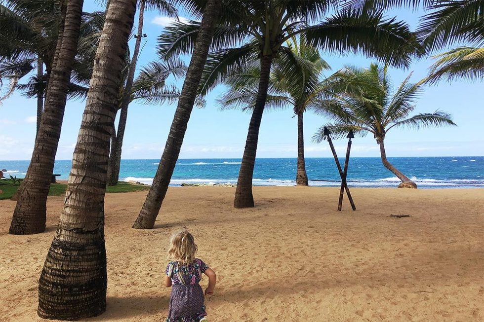  Many family-friendly beaches can be found in Hawaii that offer lifeguards and gentle waves. 
