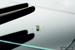 Are you ready for a camera injection? It's tiny!