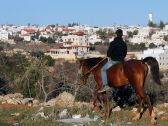 A picture taken from Hebron shows a Palestinian boy riding a horse, with the Israeli settlement of Givat Harsina appearing in the background, West Bank, February 5, 2017.