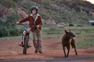 Levi Miller (Mick) and the young kelpie in Red Dog: True Blue.