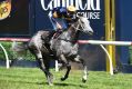 Dwayne Dunn, riding Chautauqua, finishes third in the Rubiton Stakes at Caulfield on Saturday. 