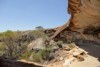 Image of Cave Hill in the Great Western Woodlands.