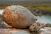 The Great Western Woodlands in Western Australia's Goldfields - 1