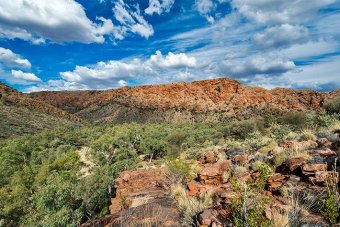 Trephina Gorge nature park