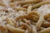 a close up picture of about 12 small worms climbing all over each other and through a saw dust like substance