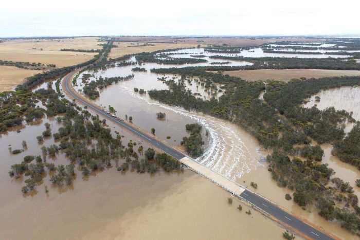 Coblinine River flowing into Lake Dumbleyung.