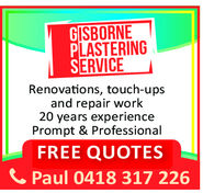 GISBORNEPLASTERINGSERVICERenovations, touch-upsand repair work20 years experiencePrompt & ProfessionalFREE QUOTESPaul 0418 317 226