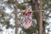 Tree-sit platform secured to logging machine in Tantawangalo State Forest