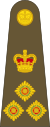 Brigadier