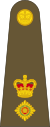 Lieutenant-Colonel