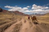 The horse women and men of the Vinicunca Mountain(Rainbow Mountain) communities in the Peruvian Andes. These men and ...