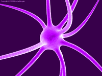 VioletNeuron.png