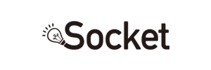 socket_300x100