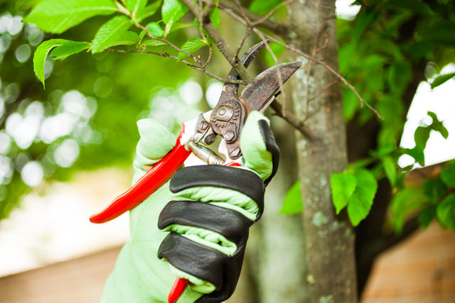 Your Versatile Maintenance - Services - Landscaping in RESERVOIR VIC