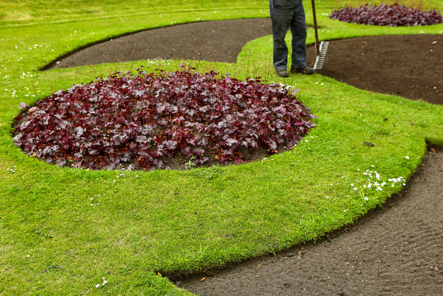 Bizzzzy Bee Blooms Lawn Mowing - Services - Landscaping in CAULFIELD VIC