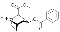 Cocaine's chemical structure