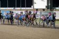 Lazarus wins the Chariots Of Fire at Menangle.