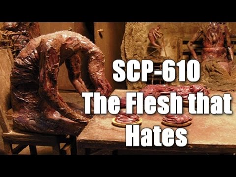 SCP-610 The Flesh that Hates (all Documents and Logs) | Object Class Keter