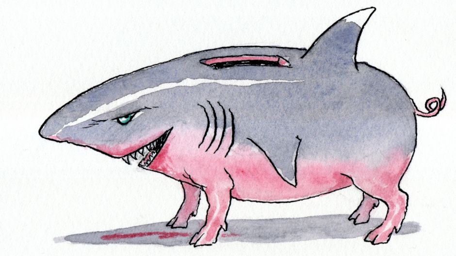 Watch out for sharks, and put something aside regularly for emergencies. Illustration: John Spooner