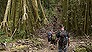 Tackling the Kokoda track (Video Thumbnail)