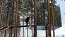 The story behind Sweden's Treehotel (Video Thumbnail)