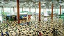 Timelapse: Inside the world's best airport (Video Thumbnail)