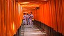 Timelapse: Kyoto's Fushimi Inari Shrine (Video Thumbnail)