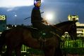 Faultless preparation: Winx and Hugh Bowman after trackwork at Rosehill Gardens.