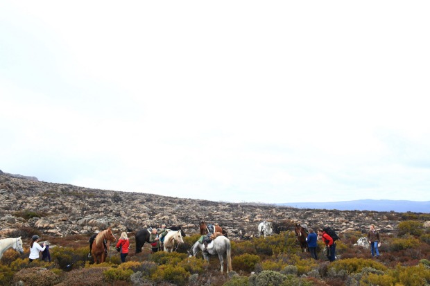 On day two of the Tassie Tiger Trail, riders tackle the imposing Great Western Tiers, with lunch at the top.