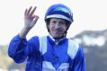 Looking for 15 in a row: Hugh Bowman will be availabe to ride Winx when the champion mare looks to make it 15 wins in a ...