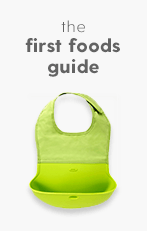 The First Foods Guide