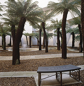 image: Fiona Hall born Australia 1953 Fern Garden 1998 Dicksonii antarctica, river pebbles, granite, steel, concrete, copper wood mulch, water Purchased with the assistance of Friends of Tamsin and Deuchar Davy, in their memory, 1998