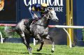 Chautauqua finishes third in the Rubiton Stakes at Caulfield, with Dwayne Dunn aboard.