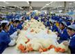 Chinese toy factory workers.