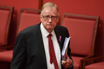 Liberal Senator Ian Macdonald