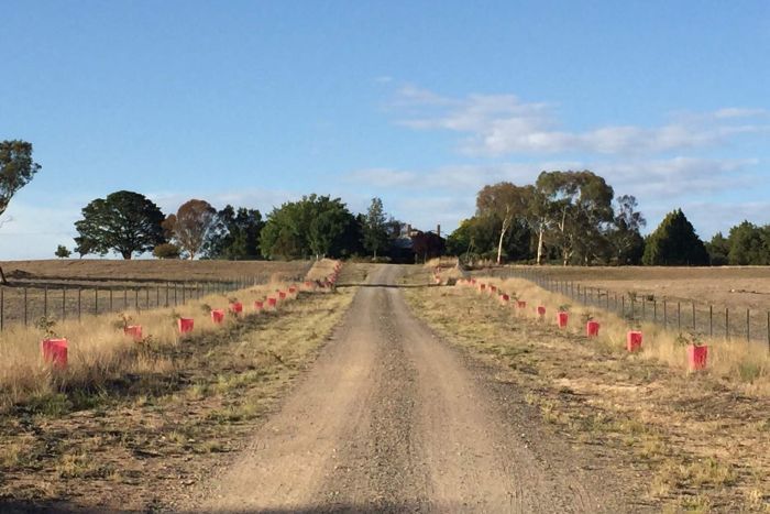 A gravel driveway leads up to the property near Gunning, NSW where three people were found dead in an empty water tank.