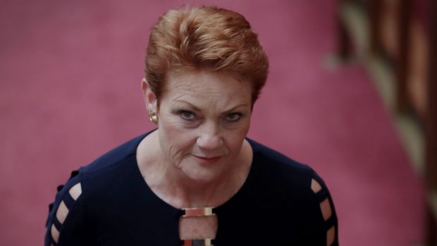 Senator Pauline Hanson at Parliament House in Canberra on Wednesday 15 February 2017. Photo: Andrew Meares