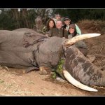 Killing for conservation @e2mq173 comments